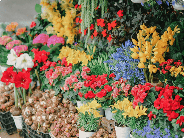 A large arrangement of flowers in multiple different colors  (1)